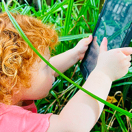 Bugtropolis photo taking