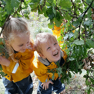 Forest oak tree 2 children