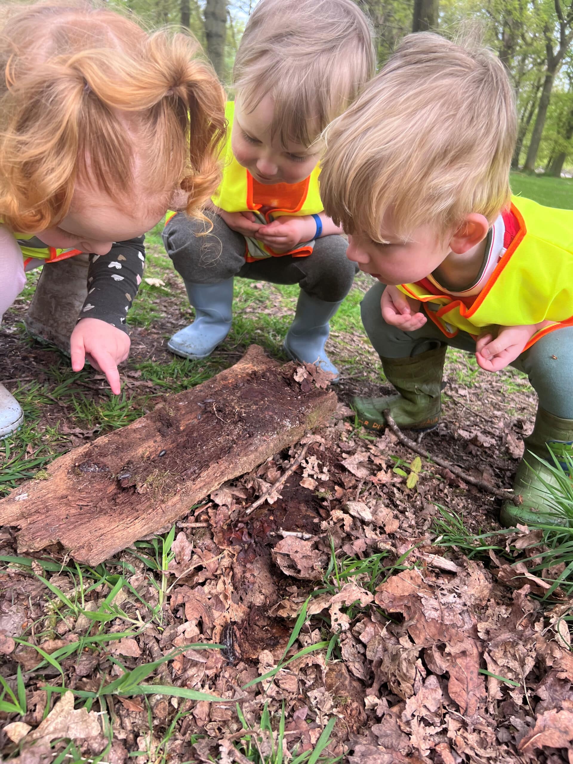 Prospectus Prospectus